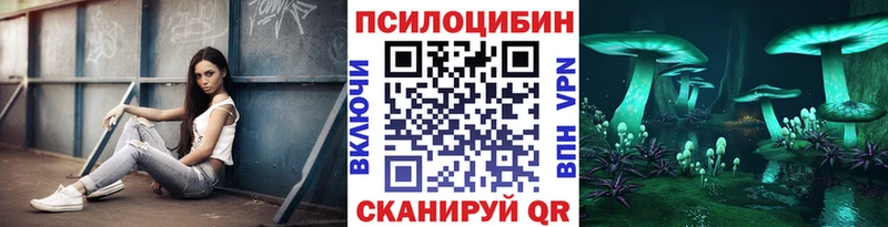где можно купить   Ипатово  Галлюциногенные грибы Psilocybine cubensis 